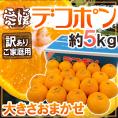 愛媛産 ”デコポン” 訳あり 約5kg 大きさおまかせ 糖度13度以上保証【予約 3月以降】 送料無料