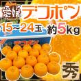 愛媛産 ”デコポン” 秀品 15~24玉 約5kg 糖度13度以上保証【予約 3月以降】 送料無料