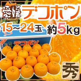 愛媛産 ”デコポン” 秀品 15～24玉 約5kg 糖度13度以上保証【予約 3月以降】 送料無料