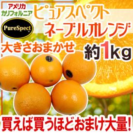”プレミアムネーブルオレンジ ピュアスペクト” 約1kg 大きさおまかせ《2kg購入で1kg、3kgで2kg、5kgで5kg、7kg購入で10kgおまけ》【予約 1月下旬以降】 送料無料
