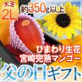 遅れてごめんね！父の日ギフト ”宮崎完熟マンゴー” 大玉2Lサイズ＋ひまわり生花1本【予約 6月16日以降】 送料無料