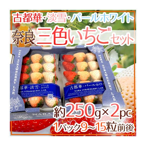 楽天市場】奈良県産 いちご 