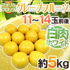 フロリダ産 ”グレープフルーツ” ホワイト 11～14玉前後 約5kg【予約 12月下旬以降】 送料無料