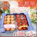 奈良県産 ”白いちご 淡雪いちご+古都華いちご 紅白セット” 2pc(1pcあたり約300g)【予約 12月~1月以降】 送料無料