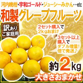 ”和製グレープフルーツ” 訳あり 約2kg《2セット購入で2kgおまけ、3セット以上購入で倍に増量》【予約 4月以降】 送料無料