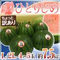 熊本産 ”小玉すいか ひとりじめ” L/2L 4~5玉 約7.5kg前後 訳あり【予約 4月以降】 送料無料