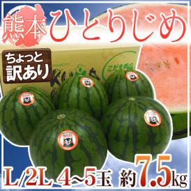 熊本産 ”小玉すいか ひとりじめ” L/2L 4～5玉 約7.5kg前後 訳あり【予約 4月以降】 送料無料