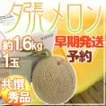 【早期発送・一番成り】北海道 ”夕張メロン” 共撰・秀品限定 1玉 約1.6kg 専用化粧箱【予約 5月末以降】 送料無料