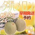 【早期発送・一番成り】北海道 ”夕張メロン” 共撰・秀品限定 2玉 約3.2kg 専用化粧箱【予約 5月末以降】 送料無料