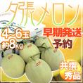 【早期発送・一番成り】北海道 ”夕張メロン” 共撰・秀品限定 4～6玉 約8kg 専用産地箱【予約 5月末以降】 送料無料