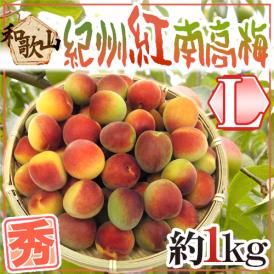 紀州・和歌山産 ”紅南高梅” 秀品 L 約1kg《10キロ以上ご購入で送料無料》【予約 5月下旬以降】