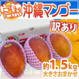 沖縄産 ”完熟マンゴー” 訳あり 3～6玉前後 約1.5kg 産地箱 沖縄マンゴー【予約 7月下旬以降】 送料無料