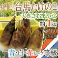 福岡 合馬産 ”たけのこ” 訳あり 約4kg 大きさおまかせ 等級 青 白 赤【予約 3月下旬以降】 送料無料