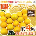 ”和製グレープフルーツ” 訳あり 約4kg 大きさおまかせ【予約 4月以降】 送料無料