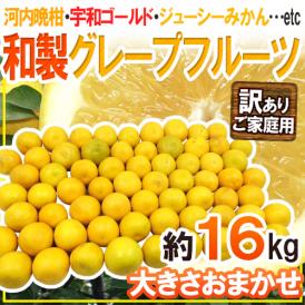 ”和製グレープフルーツ” 訳あり 約16kg 大きさおまかせ【予約 4月以降】 送料無料