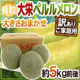 鳥取県 ”大栄ペルルメロン” 訳あり 約5kg 大きさおまかせ【予約 6月下旬以降】 送料無料
