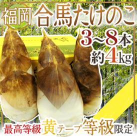 福岡 合馬産 ”たけのこ” 3～8本 約4kg 化粧箱 最高等級 黄テープ限定【予約 3月下旬以降】 送料無料