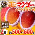 ”宮崎完熟マンゴー” 訳あり 2玉 約500～600g【予約 5月下旬以降】 送料無料