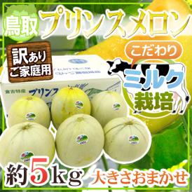 鳥取県 倉吉産 ”ミルク栽培 プリンスメロン” 訳あり 約5kg 大きさおまかせ【予約 5月下旬以降】 送料無料