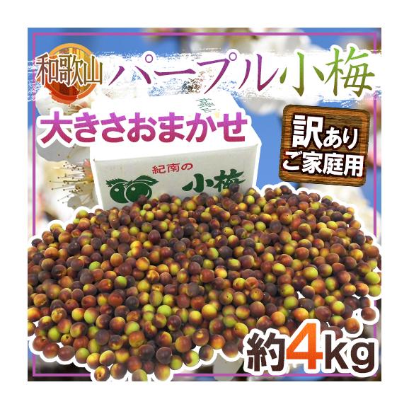 楽天市場】 和歌山県産梅 > パープルクィーン : はちやフルーツ