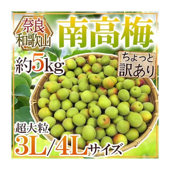奈良・和歌山産 ”南高梅” ちょっと訳あり 超大粒3L/4L 約5kg