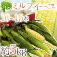 ”山梨県産 ミルフィーユ” 10～15本 約5kg 生で食べられるフルーツコーン【予約 5月末以降】