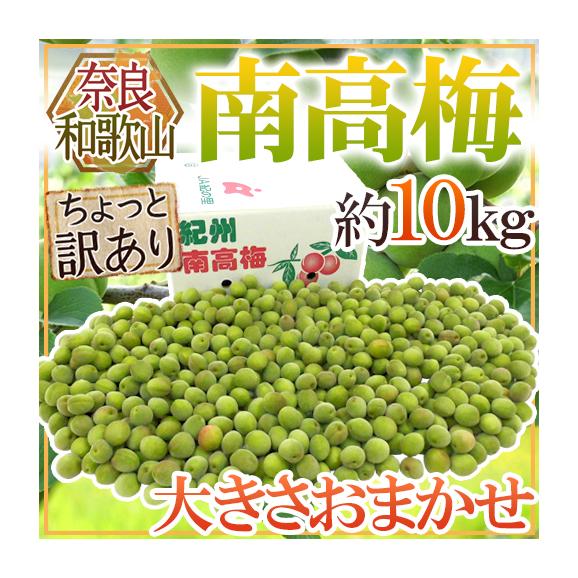奈良・和歌山産 ”南高梅” ちょっと訳あり 約10kg 大きさおまかせ