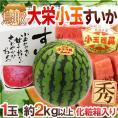 鳥取県 ”大栄小玉スイカ 姫甘泉” 約2kg以上 化粧箱入り【予約 6月以降】 送料無料