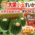 鳥取県 ”大栄小玉スイカ 姫甘泉” 訳あり 約8kg 大きさおまかせ【予約 6月以降】 送料無料