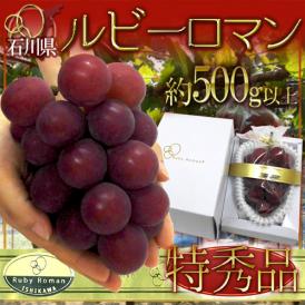 石川産 ”ルビーロマン” 特秀 大房 1房 約500g以上【予約 8月以降】 送料無料