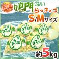 徳島 鳴門産 ”洗いらっきょう” 秀品 S/Mサイズ 約5kg【予約 5月下旬以降】 送料無料