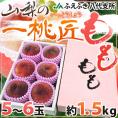 山梨県 JAふえふき 八代地区 ”一桃匠” 5～6玉入り 約1.5kg 化粧箱【予約 6月末以降】 送料無料