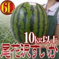 山形県産 ”尾花沢スイカ” 6Lサイズ 1玉約10kg以上 ちょっと訳あり【予約 7月下旬以降】