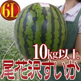 山形県産 ”尾花沢スイカ” 6Lサイズ 1玉約10kg以上 ちょっと訳あり【予約 7月下旬以降】