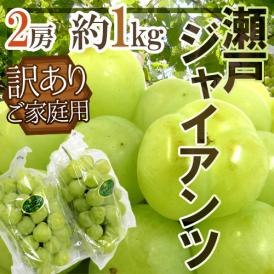 岡山産 ”瀬戸ジャイアンツ” 訳あり 2房 約1kg ぶどう【予約 9月以降】