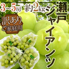 岡山産 ”瀬戸ジャイアンツ” 訳あり 3～5房 約2kg ぶどう【予約 9月以降】 送料無料[M1]