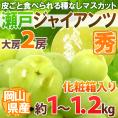 岡山産 ”瀬戸ジャイアンツ” 秀品 大房限定 2房 約1～1.2kg 化粧箱 ぶどう【予約 9月以降】 送料無料[K2]