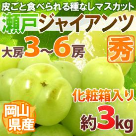 岡山産 ”瀬戸ジャイアンツ” 秀品 大房限定 3～6房 約3kg 化粧箱 ぶどう【予約 9月以降】 送料無料[K2]