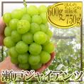 岡山産 ”瀬戸ジャイアンツ” 大房 約600g～750g ぶどう【予約 9月以降】