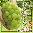 岡山産 ”瀬戸ジャイアンツ” 秀品 超大房 約800g以上 ぶどう【予約 9月以降】