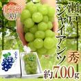 岡山産 ”瀬戸ジャイアンツ” 秀品 大房 約700g以上 化粧箱 ぶどう【予約 9月以降】