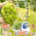 岡山産 ”瀬戸ジャイアンツ” 秀品 超大房 約900g～1kg 化粧箱 ぶどう【予約 9月以降】 送料無料