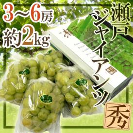 岡山産 ”瀬戸ジャイアンツ” 秀品 3～6房 約2kg 化粧箱 ぶどう【予約 9月以降】 送料無料
