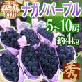 長野産 ”ナガノパープル” 秀品 5〜10房 約4kg ぶどう【予約 9月以降】