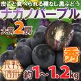 長野産 ”ナガノパープル” 秀品 大房限定 2房 約1〜1.2kg ぶどう【予約 9月以降】[B2]