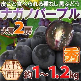 長野産 ”ナガノパープル” 秀品 大房限定 2房 約1〜1.2kg ぶどう【予約 9月以降】[B2]