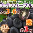長野産 ”ナガノパープル” 秀品 大房限定 3〜6房 約3kg ぶどう【予約 9月以降】[M2] 送料無料