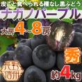 長野産 ”ナガノパープル” 秀品 大房限定 4〜8房 約4kg ぶどう【予約 9月以降】[M2] 送料無料