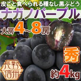 長野産 ”ナガノパープル” 秀品 大房限定 4〜8房 約4kg ぶどう【予約 9月以降】[M2] 送料無料