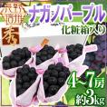 長野産 ”ナガノパープル” 秀品 4〜7房 約3kg 化粧箱 ぶどう【予約 9月以降】[K1] 送料無料